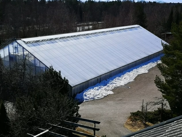 Kauppa Kukkakauppa ja puutarha-ala 4